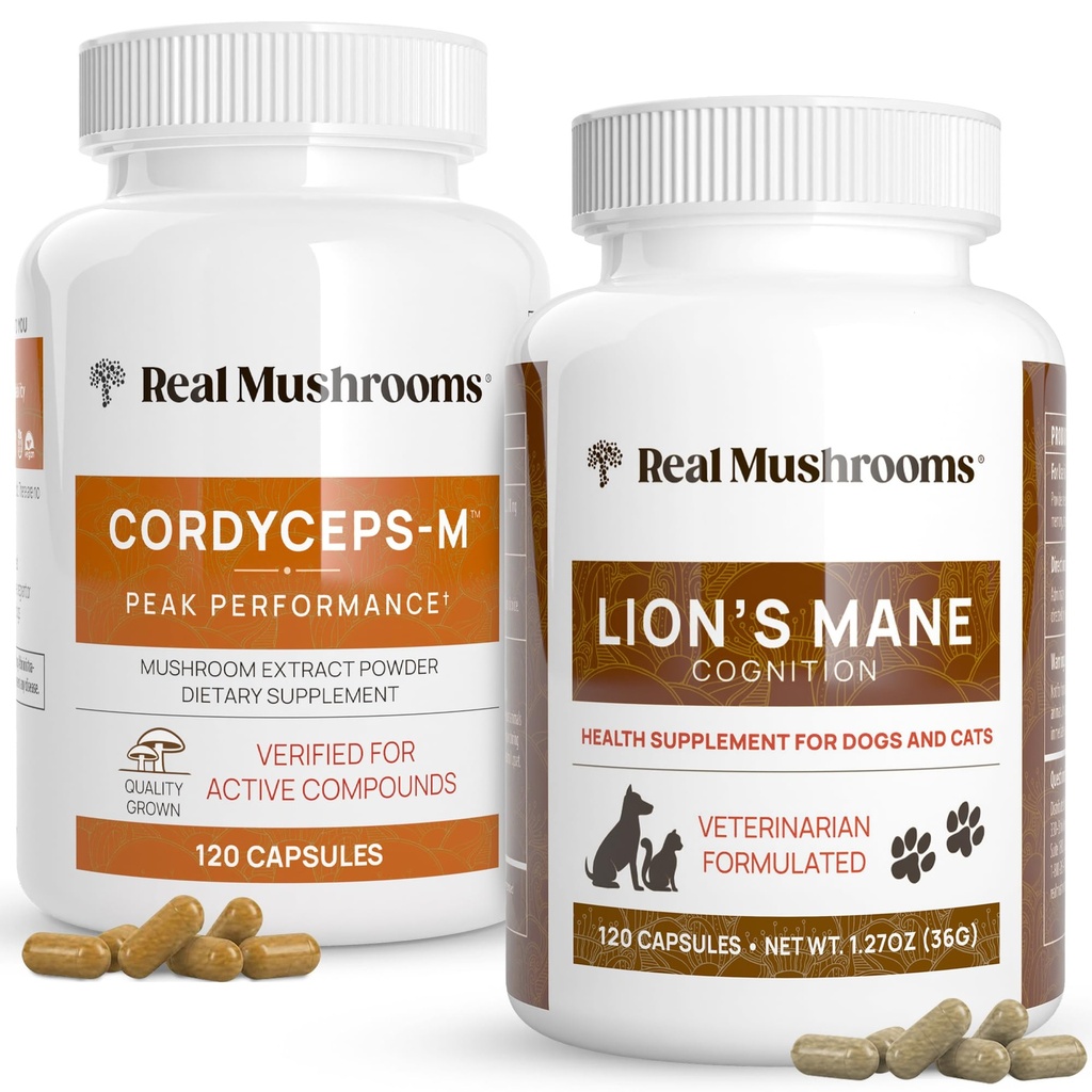 인간 (120ct)과 애완 동물 (120ct)에 대한 사자 Mane에 대한 실제 버섯 Cordyceps - 에너지, 활력 및 Cognition을위한 번들 - Vegan, Non-GMO, Gluten-Free, Grain-Free 버섯 추출물 보충제