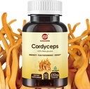Cordyceps 캡슐, 버섯 추출물 보충교재는 성과, 에너지 및 면역 체계 지원, 700mg, 60 조사, 유기 및 Vegan를 위한 31% beta Glucan를 가진 분말을 보충합니다