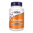 지금 식품 보충제, L-Citrulline 750 mg, 지원 단백질 Metabolism *, 아미노산, 90 Veg 캡슐