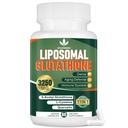 3250 MG Liposomal 글루타티온 보충교재, Resveratrol, Quercetin, Immune 체계를 위한 산화 방지제 보충교재, 글루텐 자유로운 & 비 GMO, 60의 캡슐을 가진 L 글루타티온
