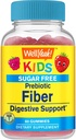 WellYeah Sugar Free Fiber Gummies for Kids (4g)|디제이티브 슈트 |Prebiotic Fiber Supplement | 60 개