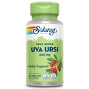 SOLARAY Uva Ursi 잎 460 mg | 건강한 방광, Kidney & Urinary Tract 기능 지원 | 비 GMO | 100ct (3일간)