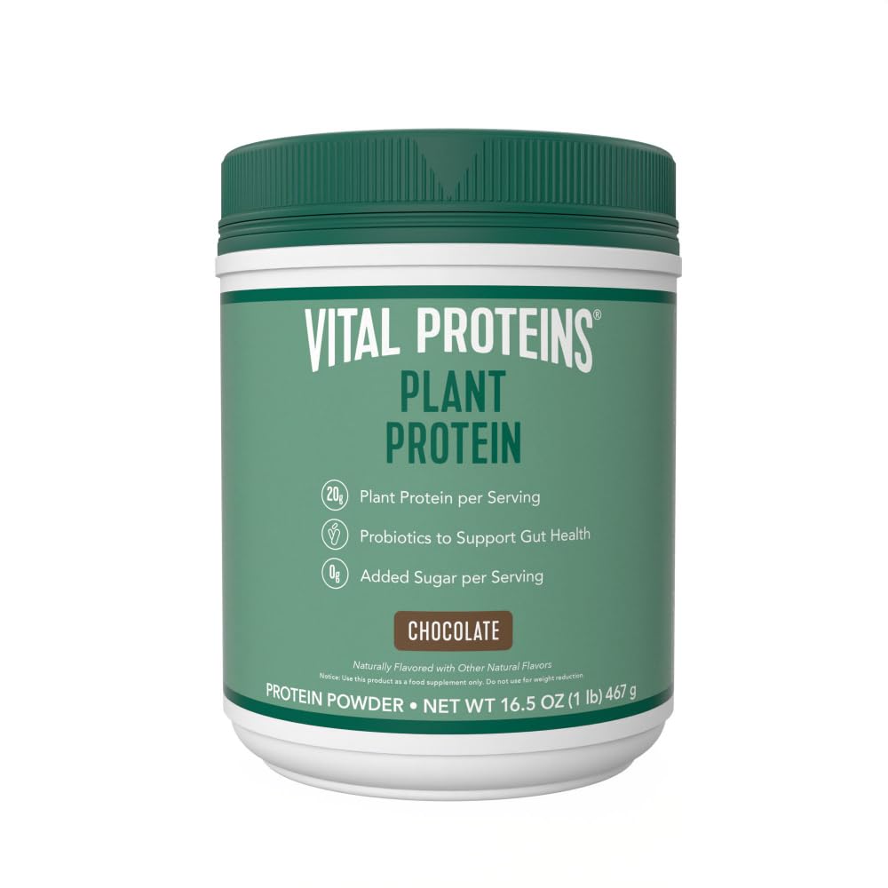 Vital Proteins Protein Powder – 20g 공장 기반 단백질 Chickpea – Gut Health 용 1B CFU Probiotic, 추가 설탕 없음 – 초콜릿, 16.5 oz