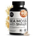 Atlantic Naturals Sea Moss and Shilajit Capsules – 5-in-1 Seamoss Shilajit Combo with Bladderwrack, Burdock Root & Black Pepper – Sea Moss Supplements for 흡수 및 활력 – 2705 mg – 60 카운트