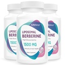 Berberine HCL 보충교재 1500mg - 여성과 남자를 위한 높은 생물 이용성 Liposomal Berberine 캡슐, 심장 혈관 건강을 위한 AMPK 활성제, 설탕 자유로운, 비 GMO, 180 Softgels