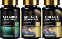 남자 & 여자를 위한 바다 Moss와 Shilajit 캡슐, Shilajit, 바다 Moss, Coenzyme Q10, 까만씨, Ashwagandha, 에너지, 산화 방지제 & 면역 지원을 위한 Burdock