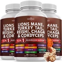 새로운 AGE 사자 Mane 버섯 보충 터키 꼬리 Reishi Cordyceps Chaga 와 Marshmallow Root 180 조사