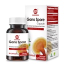 유기 Reishi 버섯 캡슐 100 % Ganoderma Lucidum Reishi Spore 분말 Boost Immune 시스템, Vegan, 모든 자연, 비 GMO 및 글루텐 무료, 60 Veggie 캡슐