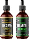 HERBIFY 번들 - 사자 Mane Drops & Cilantro Tincture - 두뇌 Boost & Body Detox