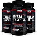 남자, 3-Pack, 남자, 남성, 남성 활력 보충교재, Tribulus 추출물 & 우량한 흡수, 1000mg, 180 캡슐을 위한 자연적인 성분을 위한 포드 굴착기 Tribulus Terrestris