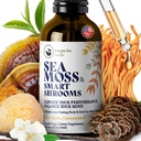 HAPPY FOX Irish Sea Moss Liquid Drops & Mushroom Tincture - 7 Adaptogenic Mushroom Extracts for Cognitive Support & Gut Health, Mushroom Coffee Elixir, 순수 바닐라 맛