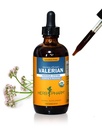 허브 Pharm은 Relaxation 및 Restful Sleep, Alcohol-Free Glycerite, 4 Ounce를 위한 유기 Valerian 뿌리 액체 추출물을 증명했습니다