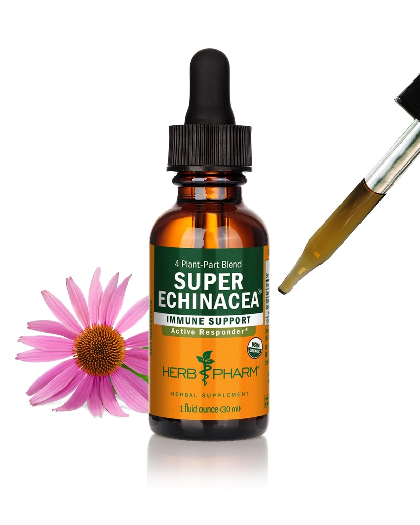 허브 Pharm은 활성 면역 시스템 지원을위한 유기 슈퍼 Echinacea 액체 추출 - 1 Ounce (DSUPER01)