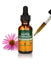 허브 Pharm은 활성 면역 시스템 지원을위한 유기 슈퍼 Echinacea 액체 추출 - 1 Ounce (DSUPER01)