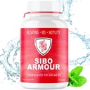 SIBO | IBS 구호(Clinical Grade Treatment), 방사성, 누출성, 가스 | 지연된 Release Peppermint | 과민성 Bowel Syndrome & Small Intestine Bacteria Overgrowth에 효과적인 보충