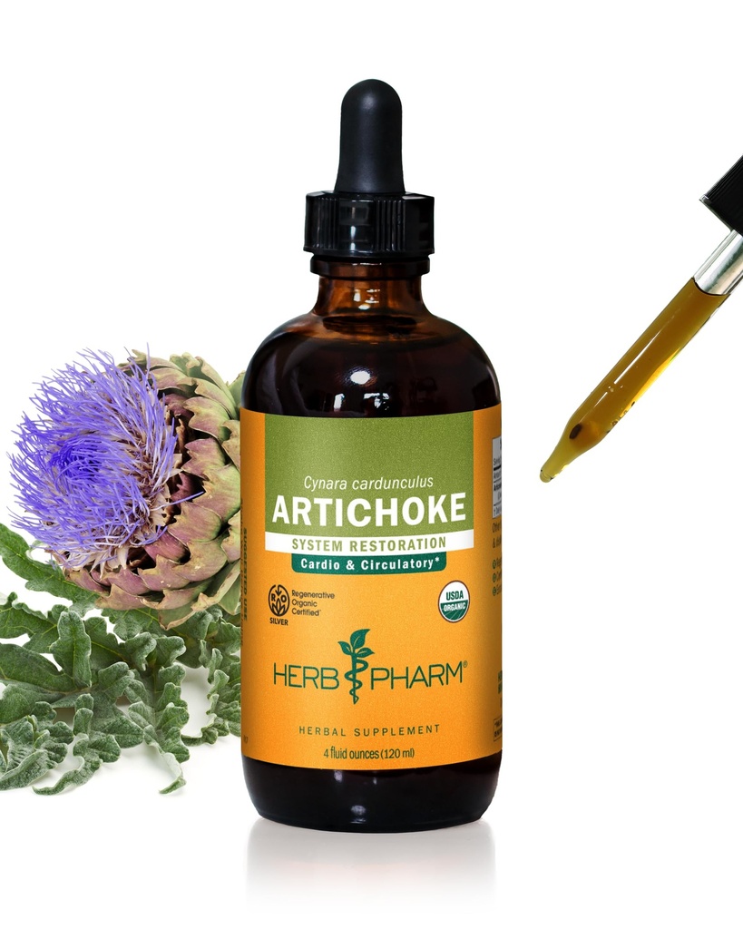허브 Pharm은 심장 혈관 및 순환 지원을위한 유기 Artichoke 액체 추출물 - 4 Ounce