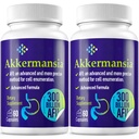 여성 및 남성을위한 300 억 AFU Akkermansia Probiotic, GLP-1 생산, 소화, Gut & Immune, Gut Digestive Lining 기능, 120 카운트