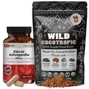 DailyNutra KSM 66 Ashwagandha (90 캡슐) 및 버섯 Cacao Mix (16oz) Relaxation 및 Focus에 대한 번들