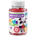 DR. MORITZ Sugar-Free Calm Magnesium Gummies for Kids and Adults - 비 GMO Kids 마그네슘 구미 - 라즈베리 맛 - 1 팩 (60 개)