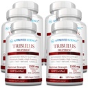 승인 과학 Tribulus Terrestris - 360 캡슐 - 부스트 테스토스테론, 강화 운동 성능, 근육 성장 및 수리 - 95 % Furostanol Saponins - Bioperine - Vegan - 6 병 지원