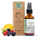 유기 ZINC 부스트 미스트 40 mg (Extra Strength) - Vit C 및 Elderberry Extract로 설탕 무료 - 아이와 성인을위한 Vegan 액체 스프레이 - 쉬운 흡수 - Non-GMO - (60 ml) 60 일 공급