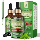 여성 & 남자를 위한 유기 Chlorophyll 액체 하락 Liposomal, 6에서 1 녹색 Superfood Vegan Chlorophyll w/Spirulina, 밀 잔디, 내부 Deodorant*, 에너지, 소화, 2Packs/4 Fl Oz를 위한 비타민 C B12 A