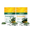 Sunlit Best Premium Chlorella & Spirulina 1000 카운트 태블릿 번들 | 면역 지원, 에너지, 웰빙