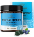HERBAMAMA Adrenal 지원 Gummies - Ashwagandha 뿌리, Rhodiola Rosea & Magnesium - Vegan, Non-GMO - 60 Pectin-Based Blueberry-Flavored Chews를 가진 여성을 위한 순수한 Adrenal 복잡한 보충교재