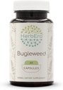 HerbEra Bugleweed 60 캡슐, 400 mg, Bugleweed (Lycopus Virginicus) 건조 허브 (60 캡슐)