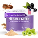 Amla 분말 & Immunity 혼합 Superfood 보충 Elderberry, 20x Ultra Concentrated Amla, Immune 지원, Ginger, Cinnamon, Peppermint, 인도 Gooseberry, Immunity, 30 서빙