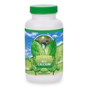 Youngevity Bio 칼슘TM - Bioavailable 킬레이트 칼슘 + 마그네슘, 아연, 구리, 칼륨, 보론 - 흡수성 뼈 지원 보충교재 - (120 캡슐)