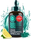 물에 대한 Spirulina와 액체 클로로필 드롭 - 전체 강도 에너지, 웰빙, 면역 지원 보충교재 - 50mg 클로로필 액체, 12.5mg Spirulina - 레몬 맛 Detox 음료 - 2oz, 118 서빙