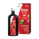 Hübner Iron Vital Liquid Iron Supply Plus 비타민 C, 성인 및 어린이용 보조 보충, 채식 및 글루텐 프리, 과일 맛, 250 ml 병, 25 서빙