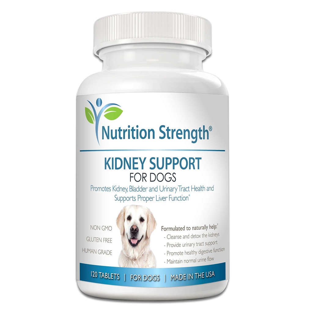 개를위한 Kidney 지원 - Renal, Bladder 및 Urinary Tract Health Supplement, 유기 Cranberry 및 Astragalus, 120 Chewable 정제와 함께 면역 및 소화 지원