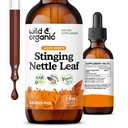 Wild & Organic Stinging Nettle Leaf Extract Drops - Urinary Tract Support - 액체 Sting Nettle Supplement - Urtica Dioica Tincture - 2-Month Supply - Vegan, Sugar & Alcohol-Free - 2 fl oz