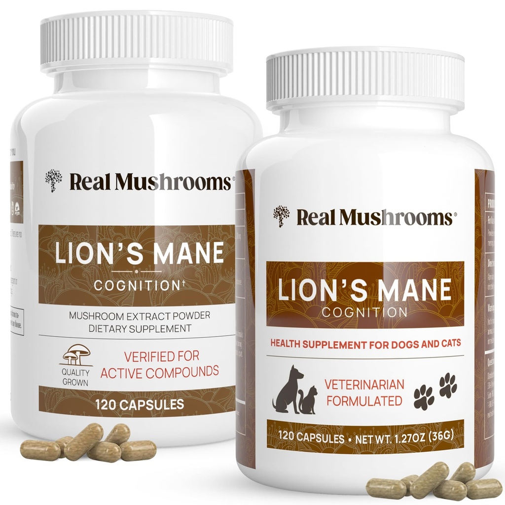 인간 (120ct) 및 애완 동물 (120ct)을위한 Real Mushrooms Lions Mane - Cognition & Immunity - Vegan, Non-GMO, Gluten-Free, Grain-Free 버섯 추출물 보충제