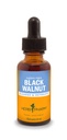 허브 Pharm Black Walnut Cleansing 및 Detoxifying 용 액체 추출물 - 1 Ounce