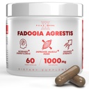 Fadogia Agrestis 1000mg Per 서빙 보충 - 에너지, 운동 성능 및 근육 질량을 증가하는 유력한 추출물 - 미국 (60 캡슐)에서 만든 보충 교재