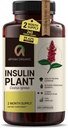 프리미엄 품질 Costus Igneus (Insulin Plant) 캡슐 - 삼키기 쉬운 240 Veggie 캡슐 (2 월 공급) - 미국에서 만든 - 완전한 건강 지원 프로그램을 포함