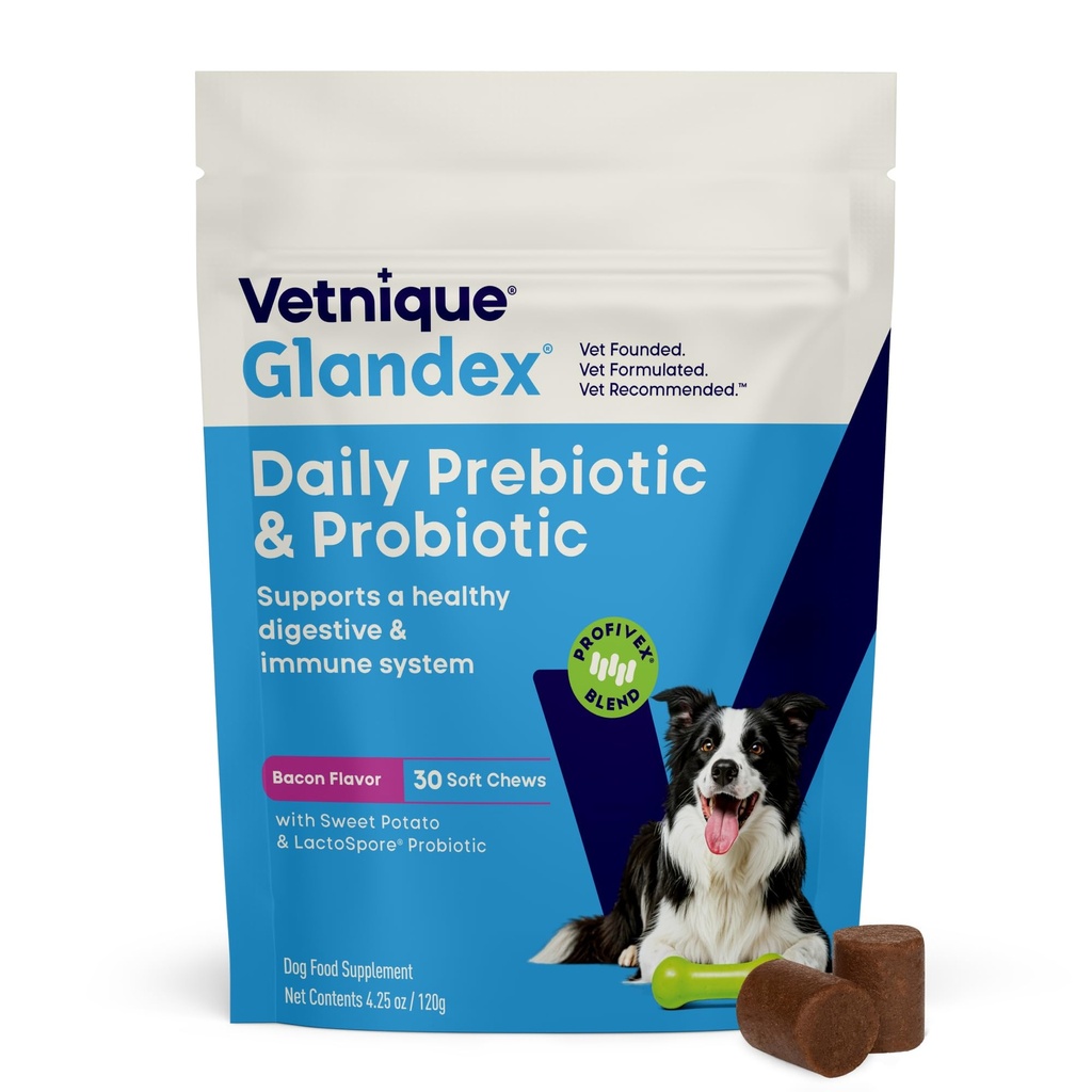 섬유와 소화 효소, Probiotic Chews 또는 분말 (30ct Chews, Bacon Chews)를 가진 개를 위한 Vetnique Glandex 매일 Probiotics