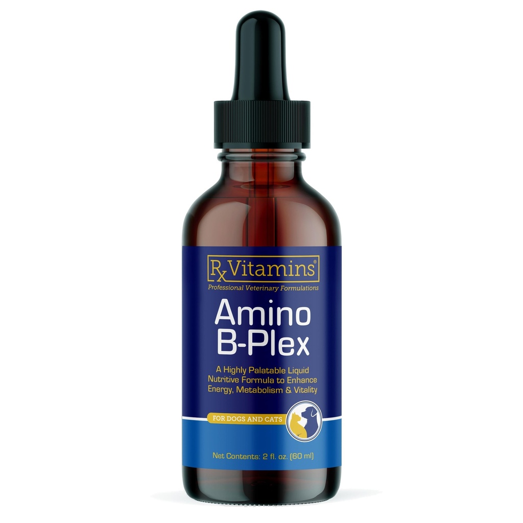 Rx Vitamins Amino B Plex Cat & Dog Supplement - 비타민 B Complex Liquid Plus Amino Acids for Dogs & Cats - 식욕 부스터 및 체중 증가 고양이 및 개 비타민 - 2 oz