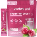 벤처 Pal Sugar Free Electrolyte Powder Packets - Rapid Hydration & Party Recovery 용 액체 일일 IV 음료 믹스 | 5 비타민 & 7 일 전동| Keto Friendly | Non-GMO | 인증 Vegan | 16 스틱