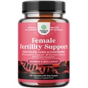 Prenatal Multivitamins 여성을위한 Fertility Supplement - Prenatal Choline Inositol Folate Chasteberry 및 CoQ10 Fertility Blend for Women to Promot Faster Conception