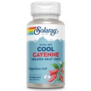 SOLARAY Extra Hot Cool Cayenne 100,000 HU - 전통 민속 Remedy 및 Digestion Aid - Bio-Cool Process - 실험실 검증, GMP 시설, 60 일 보증 - 45 서빙, 90 VegCaps