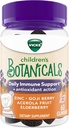 Vicks 아이들의 식물 매일 면역 지원* + 산화 방지제 활동, Gummies, 아연으로 만드는, Goji Berry, Acerola 과일 및 Elderberry, 60 ct