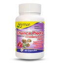 Cranberry와 Arymar Chanca Piedra – Urinary Wellness & Kidney Function (60 캡슐)의 초본 지원