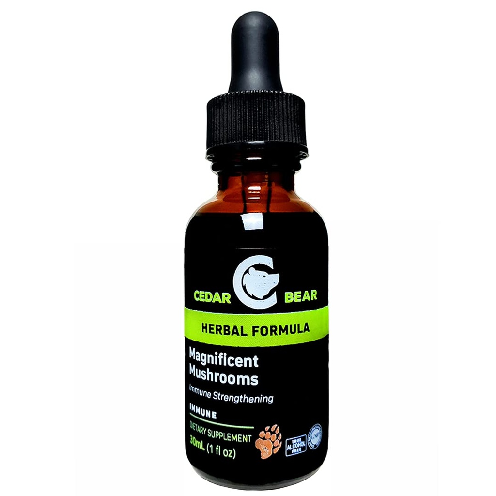 Cedar Bear Magnificent Mushrooms Immune 시스템 구축, 보호, 강도 및 균형 전체 건강 1 Fl Oz