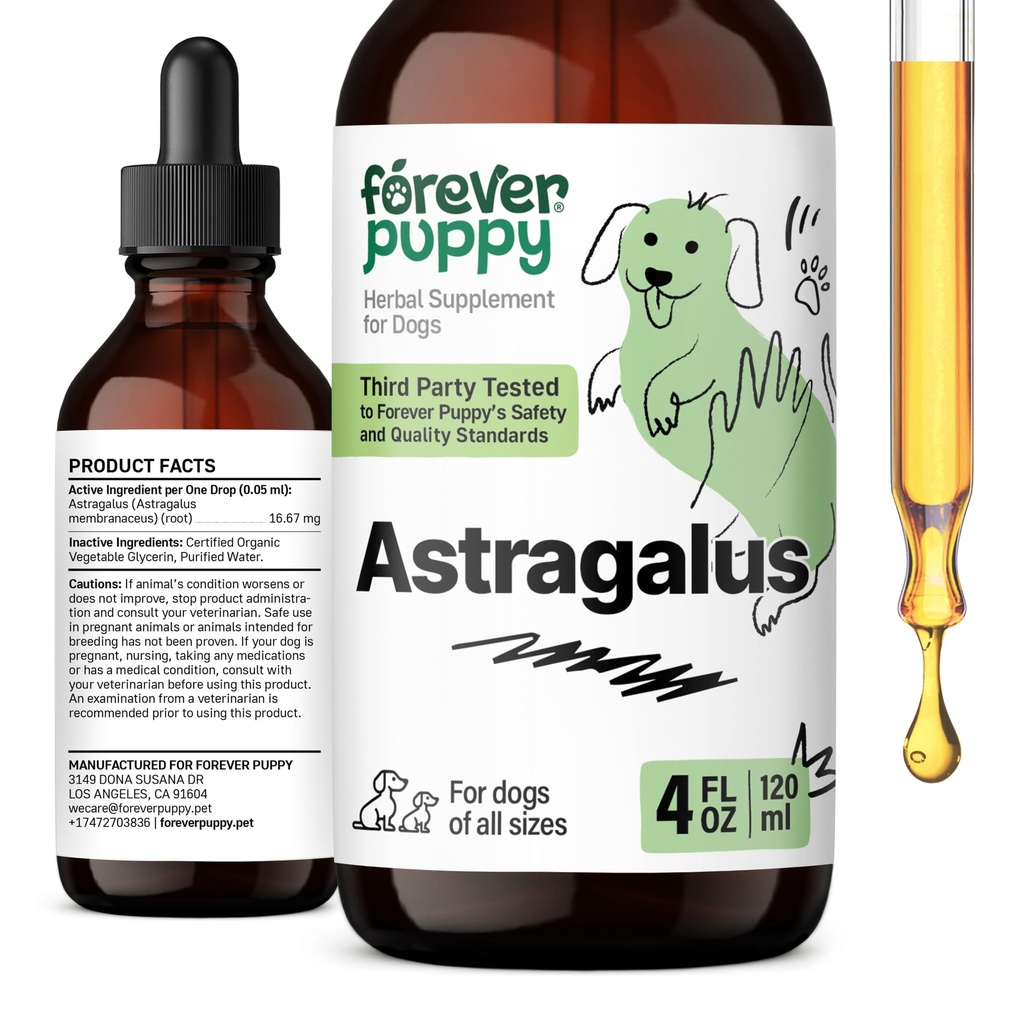 개를위한 영원히 Puppy Astragalus 뿌리 드롭 - 개를위한 Astragalus Membranaceus 추출물 Immune 지원 - 면역 및 Joyful 애완 동물 관리를위한 초본 애완 동물 액체 보충제 - 4 oz