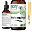 개를위한 영원히 Puppy Astragalus 뿌리 드롭 - 개를위한 Astragalus Membranaceus 추출물 Immune 지원 - 면역 및 Joyful 애완 동물 관리를위한 초본 애완 동물 액체 보충제 - 4 oz