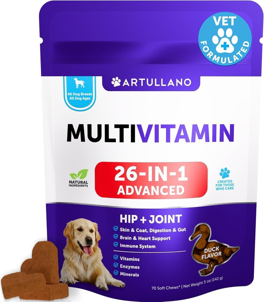 글루코사민을 가진 1개의 개 Multivitamin에서 20 - Chewable 개 비타민 및 보충교재 - 애완 동물 Hip & 합동 지원을 위한 고위 & 강아지 Multivitamin Chews, Immunity, Mobility, 피부, 소화 - 70 연약한 치료
